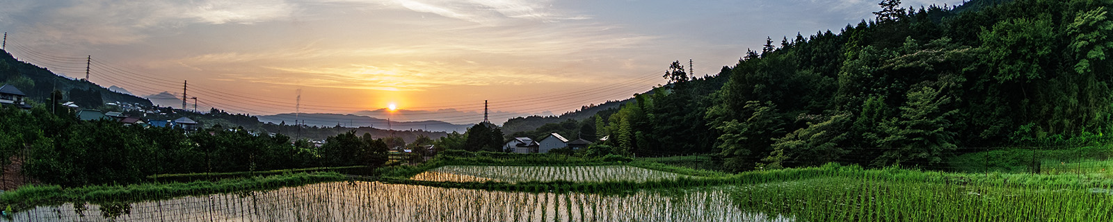 自給田の写真展示室