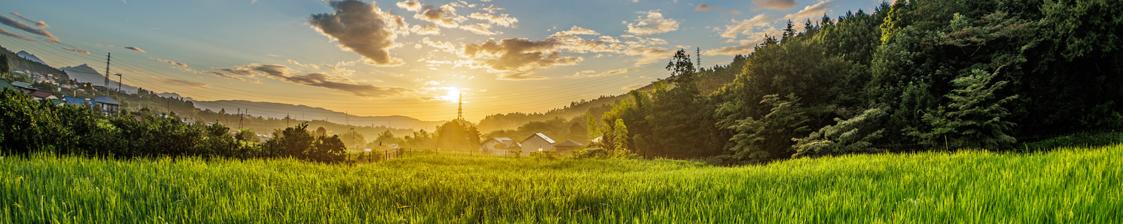 自給田の写真展示室